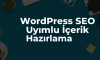 WordPress SEO Uyumlu İçerik Hazırlama