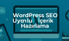 WordPress SEO Uyumlu İçerik Hazırlama