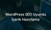 WordPress SEO Uyumlu İçerik Hazırlama WordPress SEO Uyumlu İçerik Hazırlama