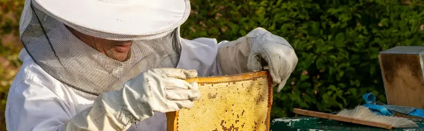 Arıcılık Kredisi Arıcılık Kredisi