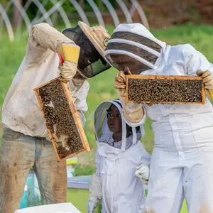 arıcılık kredisi nedir