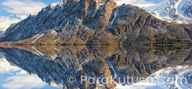 Norveç Türkleri Kabul Ediyor mu? (2025 Güncel Rehber)