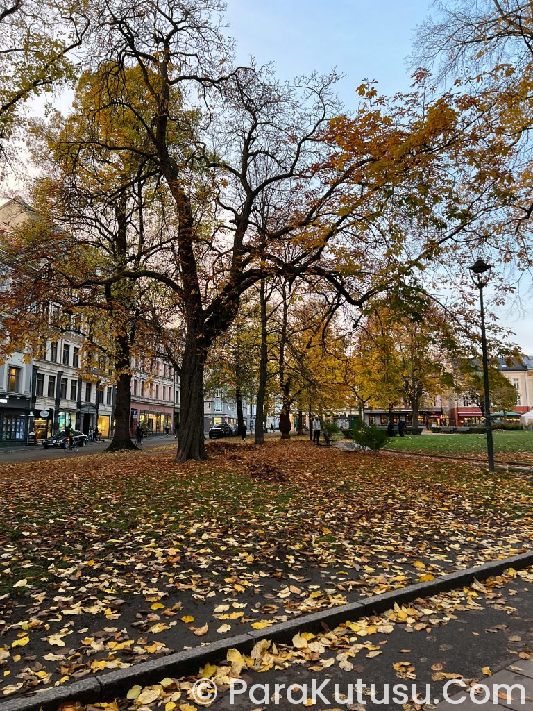 Norveç’te Hangi Mesleklere İhtiyaç Var 2026