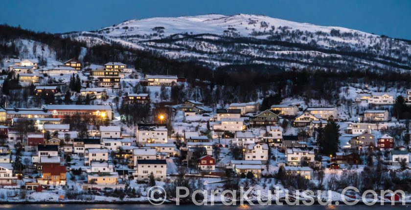 Norveç’e Yerleşmek Zor mu? Norveç Türkleri Kabul Ediyor mu? (2025 Güncel Rehber)