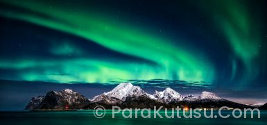 Norveç’te Hangi Mesleklere İhtiyaç Var? | Güncel İş Alanları Rehberi