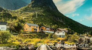 Norveç Dil Şartı Var mı? | Çalışmak ve Yaşamak İçin Dil Gerekliliği