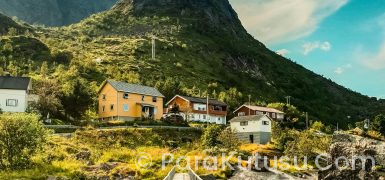 Norveç Dil Şartı Var mı? | Çalışmak ve Yaşamak İçin Dil Gerekliliği