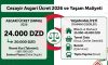 Cezayir Asgari Ücret 2026 – Cezayir Yaşam Maliyeti